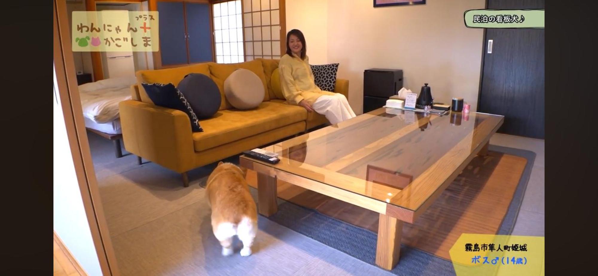 Boss'Shouse 犬ok 1組限定の宿 Kirisima Kültér fotó