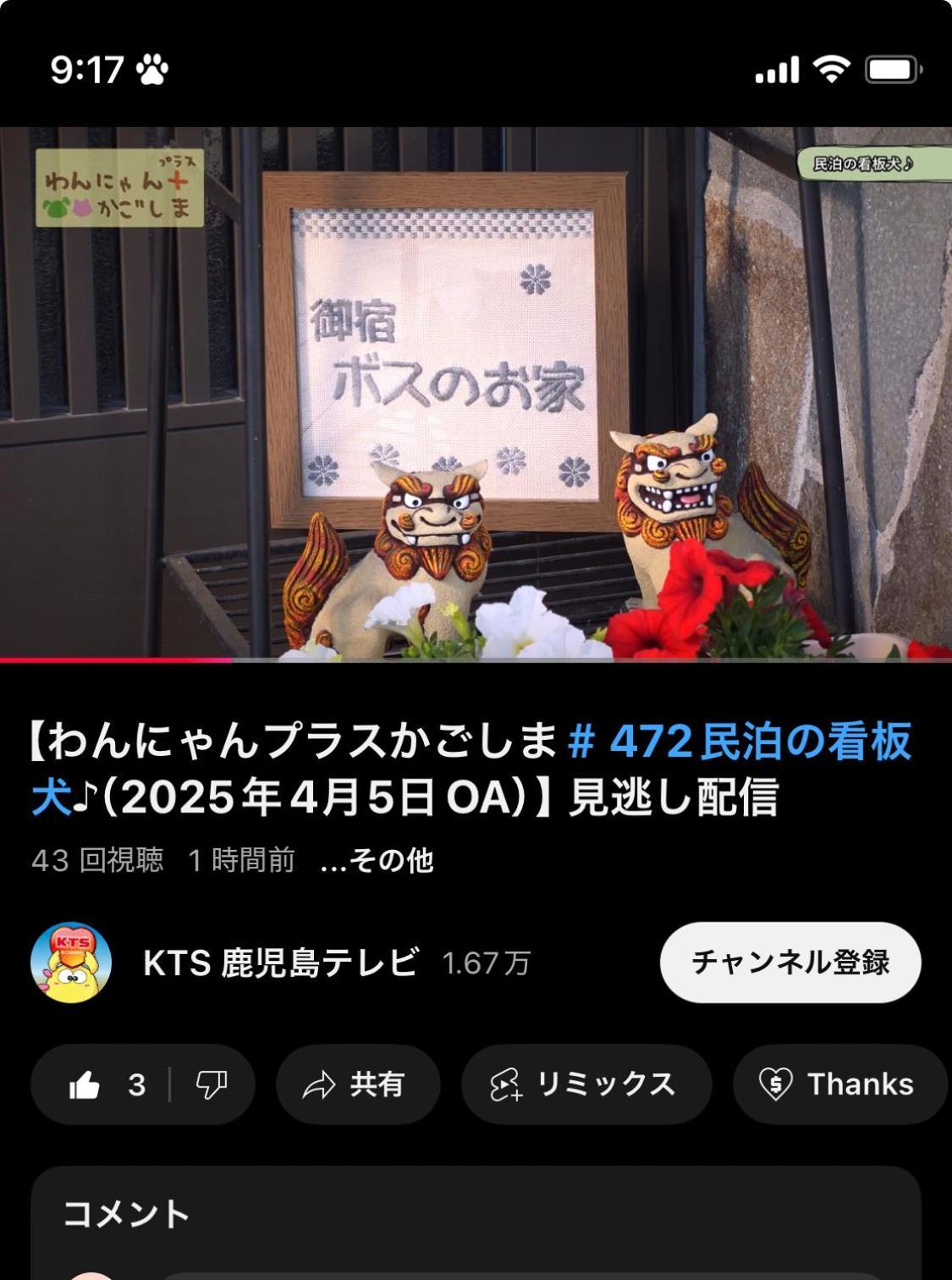 Boss'Shouse 犬ok 1組限定の宿 Kirisima Kültér fotó
